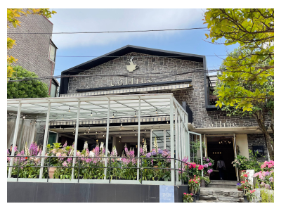 Quán Colline – Nạp năng lượng giữa không gian đầy hương hoa ở Hongdae