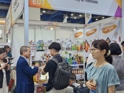 Doanh Nghiệp Việt Vươn Tầm Quốc Tế: Tăng Tốc Chinh Phục Thị Trường Hàn Quốc