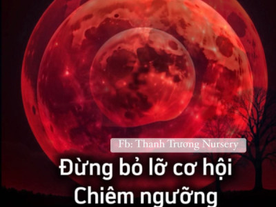 NGUYỆT THỰC TOÀN PHẦN – ĐỪNG BỎ LỠ!