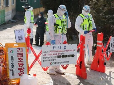 HQ: lại b:ùng p:hát dichtalon châu Phi tại khu vực (충남 당진시