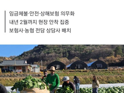 CHỦ SỬ DỤNG LAO ĐỘNG NẾU VI PHẠM VỀ BẢO HIỂM BẮT BUỘC CHO LAO ĐỘNG THỜI VỤ CÓ THỂ BỊ PHẠT TỚI 5 TRIỆU WON....