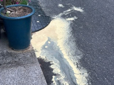 꽃가루 알레르기 - Dị ứng phấn hoa Có mưa nhỏ rồi nhé ???? các bạn dị ứng với phấn hoa ơi ~ Dù cơn mưa nhỏ thôi nhưng vẫn dịu hẳn.  Chỗ các bạn có mưa chưa?  #Korea  #muaphanhoa