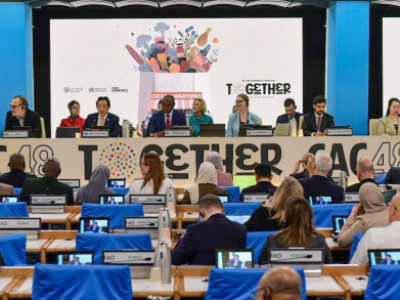 'Cải thảo kim chi' được đưa vào tiêu chuẩn toàn cầu; rong biển đang trên đà được công nhận trên toàn cầu