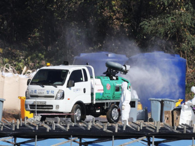 Hàn Quốc báo cáo thêm một trường hợp cúm gia cầm lây lan mạnh tại một trang trại gà