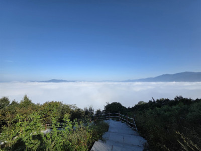 Biển mây sông Seomjin: Đang vào mùa