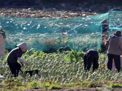 Phát hiện hơn 840 vụ vi phạm lao động tại các công trường sử dụng lao động nước ngoài