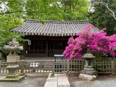 Đền thờ hoàng gia Joseon trở về quê hương sau một thế kỷ ở Nhật Bản.
