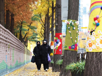 Thời tiết dưới 0 độ đầu tiên của mùa giải bao trùm Seoul