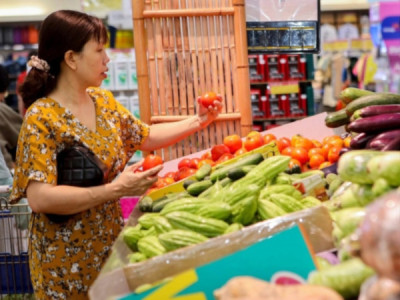 Thế còn chuyến đi trong ngày đến một hòn đảo mùa thu và câu mực theo mùa thì sao?