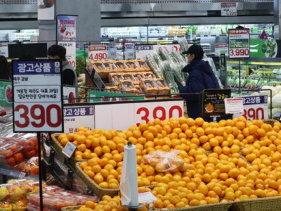 Giá nhập khẩu ghi nhận mức tăng nhanh nhất trong 19 tháng vào tháng 11 do đồng won suy yếu: Ngân hàng Trung ương Hàn Quốc