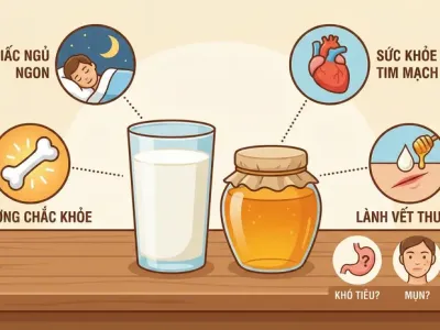 Sữa và mật ong: 8 lợi ích sức khỏe và tác dụng phụ cần biết