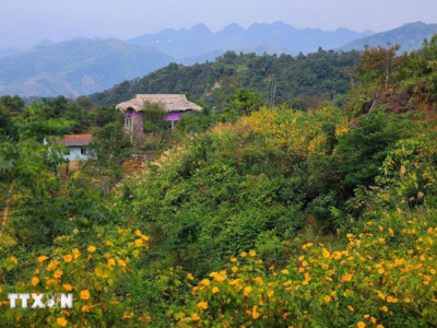 Phú Thọ: Điểm hẹn du lịch cộng đồng mới vùng Mường Thàng