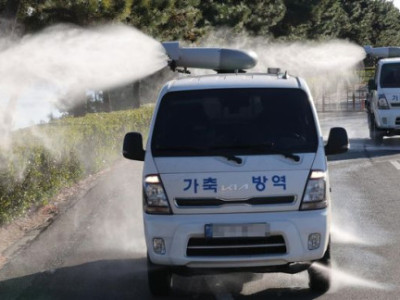 Hàn Quốc xác nhận thêm 2 trường hợp mắc cúm gia cầm có khả năng lây nhiễm cao.