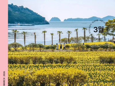 Sự hòa quyện hoàn hảo giữa hoa thủy tiên vàng và biển xanh tại 거제도 .