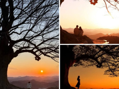 Các bạn ở 충남 mà không check in nơi đây thì hơi thiếu sót