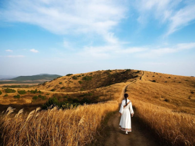 7 cách tận hưởng mùa thu ở Jeju, từ những con đường cỏ bạc đến những bãi biển thân thiện với vật nuôi
